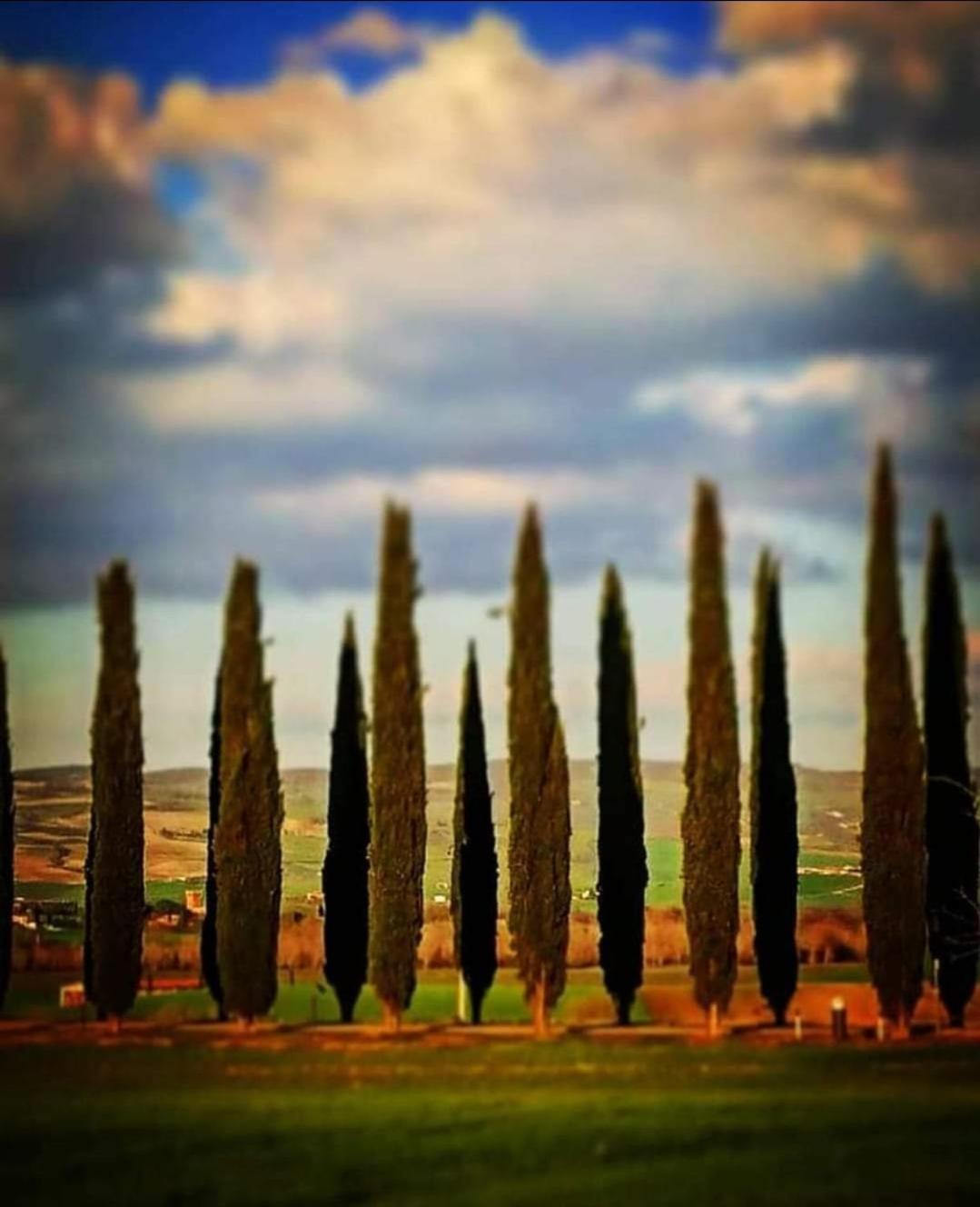 Affittacamere Alba Fiorita Castiglione dʼOrcia Exterior foto