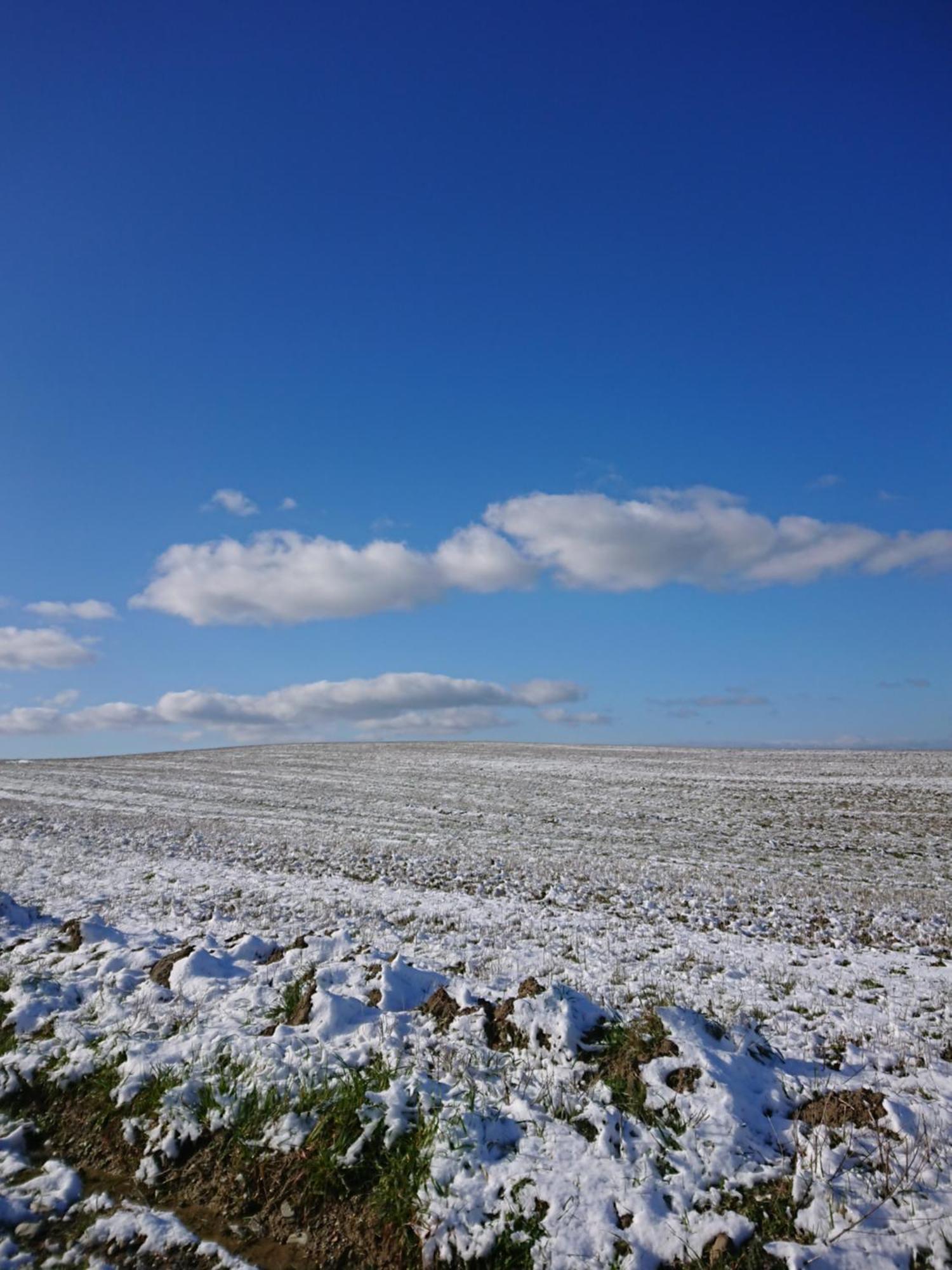 Affittacamere Alba Fiorita Castiglione dʼOrcia Exterior foto